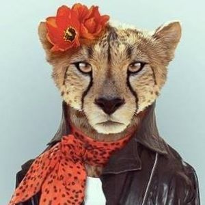 Meet your Posher, Julie